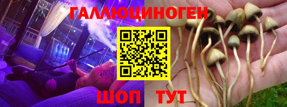 Зеленокумск  Галлюциногенные грибы ЛСД  Галлюциногенные грибы Psilocybe  Вход с VPN 